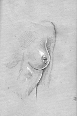 nipple piercing, sketch, Ray Leaning,
